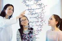 Female teacher and girl students examining molecular structure in classroom — Stock Photo
