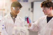 Schüler untersuchen Flüssigkeit im Reagenzglas, führen wissenschaftliche Experimente im Laborklassenzimmer durch — Stockfoto