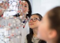 Profesora y alumnas curiosas examinando estructura molecular en aula de laboratorio - foto de stock