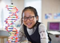 Portrait smiling, confident girl student next to DNA model in classroom — Stock Photo