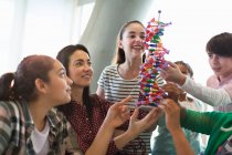 Female teacher and students examining DNA model in classroom — Stock Photo
