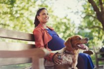 Усміхнена вагітна жінка з собакою сидить на лавці парку — стокове фото