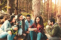 Молодые друзья используют цифровые планшеты в лесу — стоковое фото