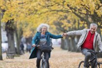 Ласковая пожилая пара держится за руки, катается на велосипеде в осеннем парке — стоковое фото