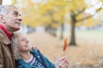 Cariñosa, curiosa pareja de ancianos sosteniendo la hoja en el parque de otoño - foto de stock