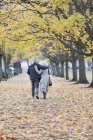 Pareja cariñosa abrazándose, caminando entre árboles y hojas en el parque otoñal - foto de stock