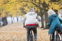 Старша пара катається на велосипеді серед дерев і листя в осінньому парку — стокове фото