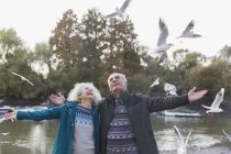 Energetic, playful senior couple watching flying birds at pond in park — Stock Photo