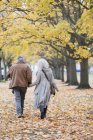 Casal sênior afetuoso de mãos dadas, andando entre árvores e folhas no parque de outono — Fotografia de Stock