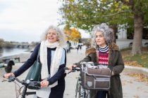 Mujeres mayores activas amigas caminando bicicletas en el parque de otoño - foto de stock