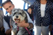 Homem sênior segurando cão bonito no ônibus de turnê — Fotografia de Stock