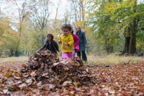 Семья играет в осенние листья в лесу — стоковое фото
