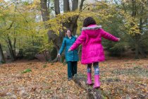 Mère et fille équilibrage sur billes tombées dans les bois d'automne — Photo de stock