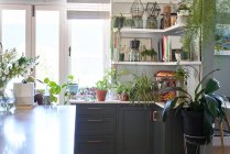 Camera elegante in interni cucina moderna — Foto stock