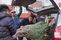 Семья загружает елку в машину — стоковое фото