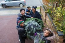 Famiglia che trasporta albero di Natale nel vialetto — Foto stock