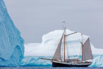 Корабель, що пливе повз великі айсберги Ґренландія. — стокове фото