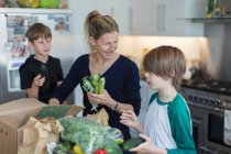 Happy mother and sons unloading fresh produce from box in kitchen — Stock Photo