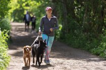 Femme avec des chiens marchant sur le sentier ensoleillé dans le parc — Photo de stock