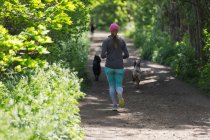 Mujer trotando en sendero soleado con perros - foto de stock