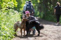 Mulher feliz caminhadas em trilha ensolarada com cães — Fotografia de Stock