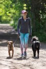 Женщина с собаками ходит по солнечной тропе — стоковое фото