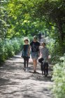 Mãe e filhos com cão caminhando no caminho do parque ensolarado — Fotografia de Stock