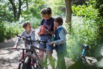 Madre e hijos bebiendo agua en bicicleta en el soleado parque - foto de stock