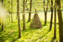 Zweig-Tipi im sonnigen Wald — Stockfoto