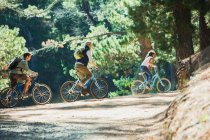 Ciclismo familiar en el bosque - foto de stock
