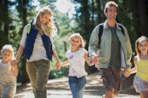 Sonriente familia cogida de la mano y caminando en el bosque - foto de stock