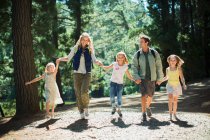 Lächelnde Familie hält Händchen und geht im Wald spazieren — Stockfoto