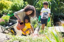 Счастливая мать и дети поливают растения в солнечном летнем саду — стоковое фото