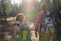 Coppia giovane con zaini escursionismo nei soleggiati boschi estivi — Foto stock