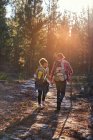 Giovane coppia con zaini escursioni nei boschi soleggiati — Foto stock