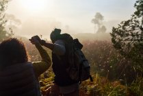 Young couple holding hands and hiking in tall grass at sunset — Stock Photo