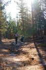 Jovem casal caminhadas em bosques ensolarados — Fotografia de Stock