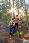 Jovem casal com mochilas caminhadas em bosques ensolarados — Fotografia de Stock