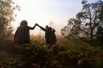 Silueta joven pareja cogida de la mano senderismo en el bosque al amanecer - foto de stock