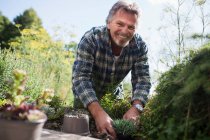 Portrait happy senior man gardening — Stock Photo