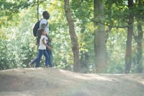 Батько і дочка тримають руки, ходячи в сонячному літньому лісі — стокове фото