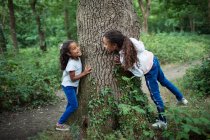 Cute sisters playing at tree trunk in woods — Stock Photo