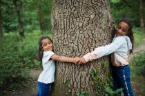 Serene sisters hugging tree trunk in woods — Stock Photo