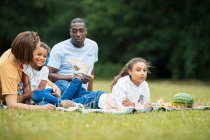 Family relaxing and enjoying picnic in park — Stock Photo