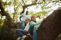 Father and daughters climbing tree — Stock Photo