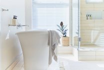 Солнечный белый современный интерьер витрины с ванной комнатой с замачивающимся тюбиком — стоковое фото