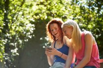 Happy preteen girl friends using smart phone below sunny trees — Stock Photo