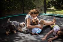 Mother and daughters playing on backyard trampoline with dogs — Stock Photo