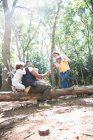 Familie spielt im sonnigen Sommerwald auf umgestürzten Baumstämmen — Stockfoto