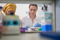Женщины-ученые, работающие в лаборатории — стоковое фото
